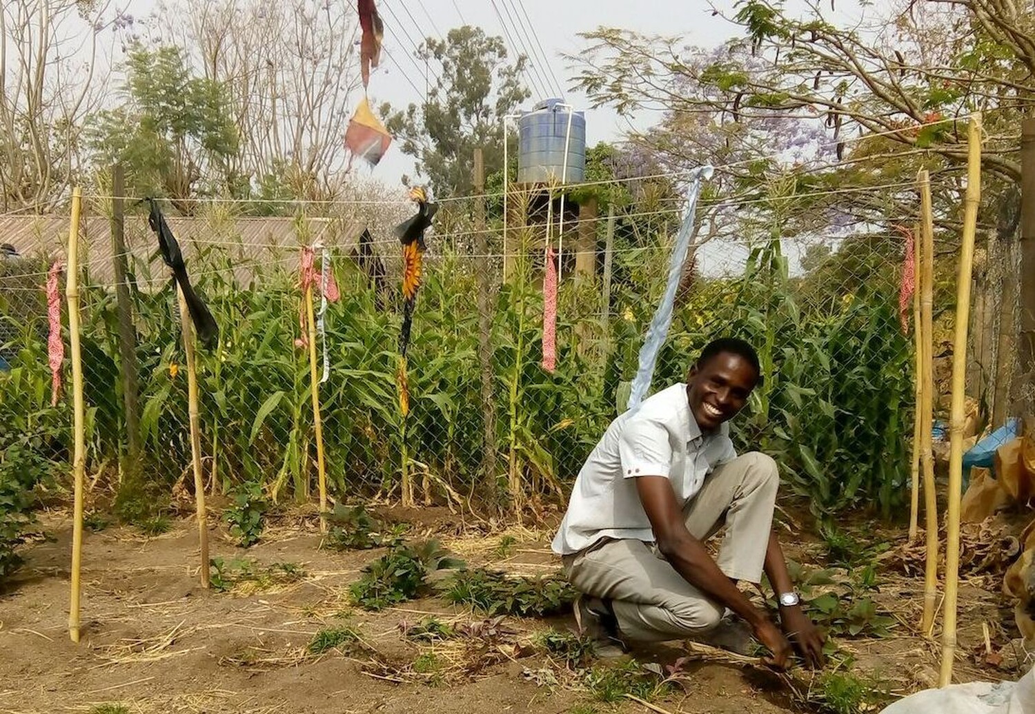 Malgwi-in-planting-action-2.jpg
